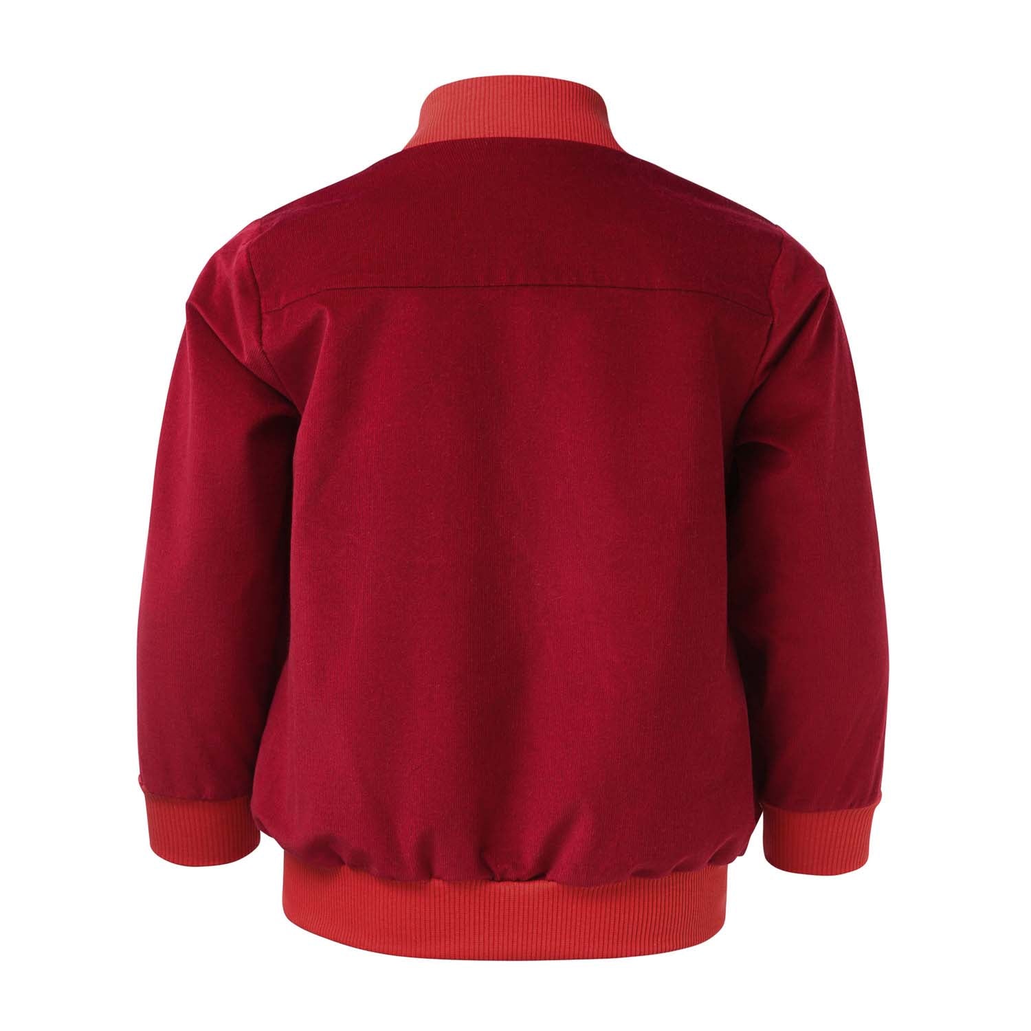 Red Velvet Blazer