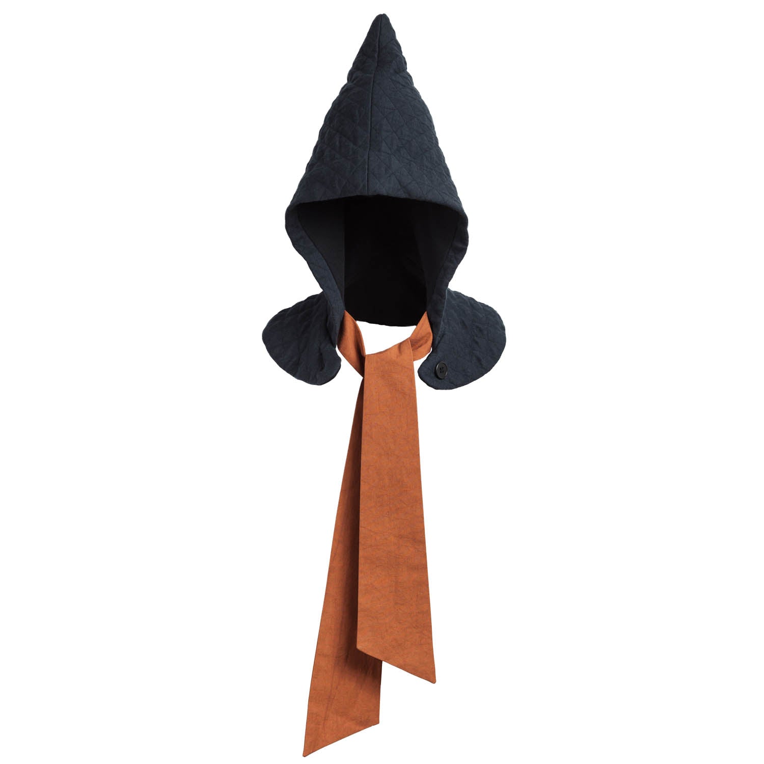Wizard Pointy Hat
